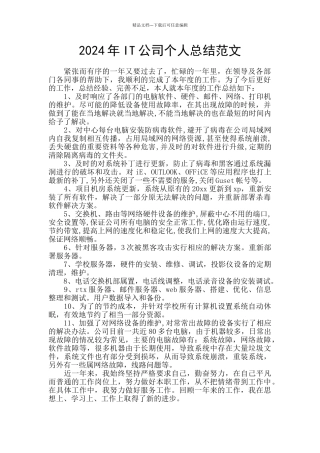 2024年IT公司个人总结范文