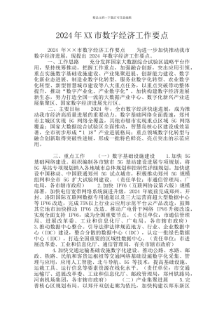 2024年XX市数字经济工作要点