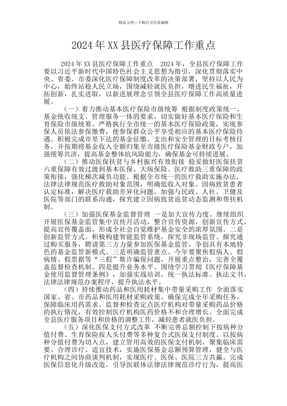 2024年XX县医疗保障工作重点_第1页