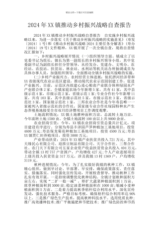 2024年XX镇推进乡村振兴战略自查报告