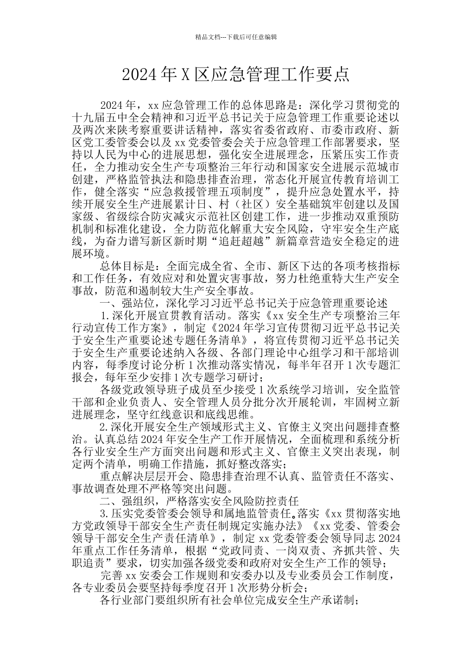 2024年X区应急管理工作要点_第1页