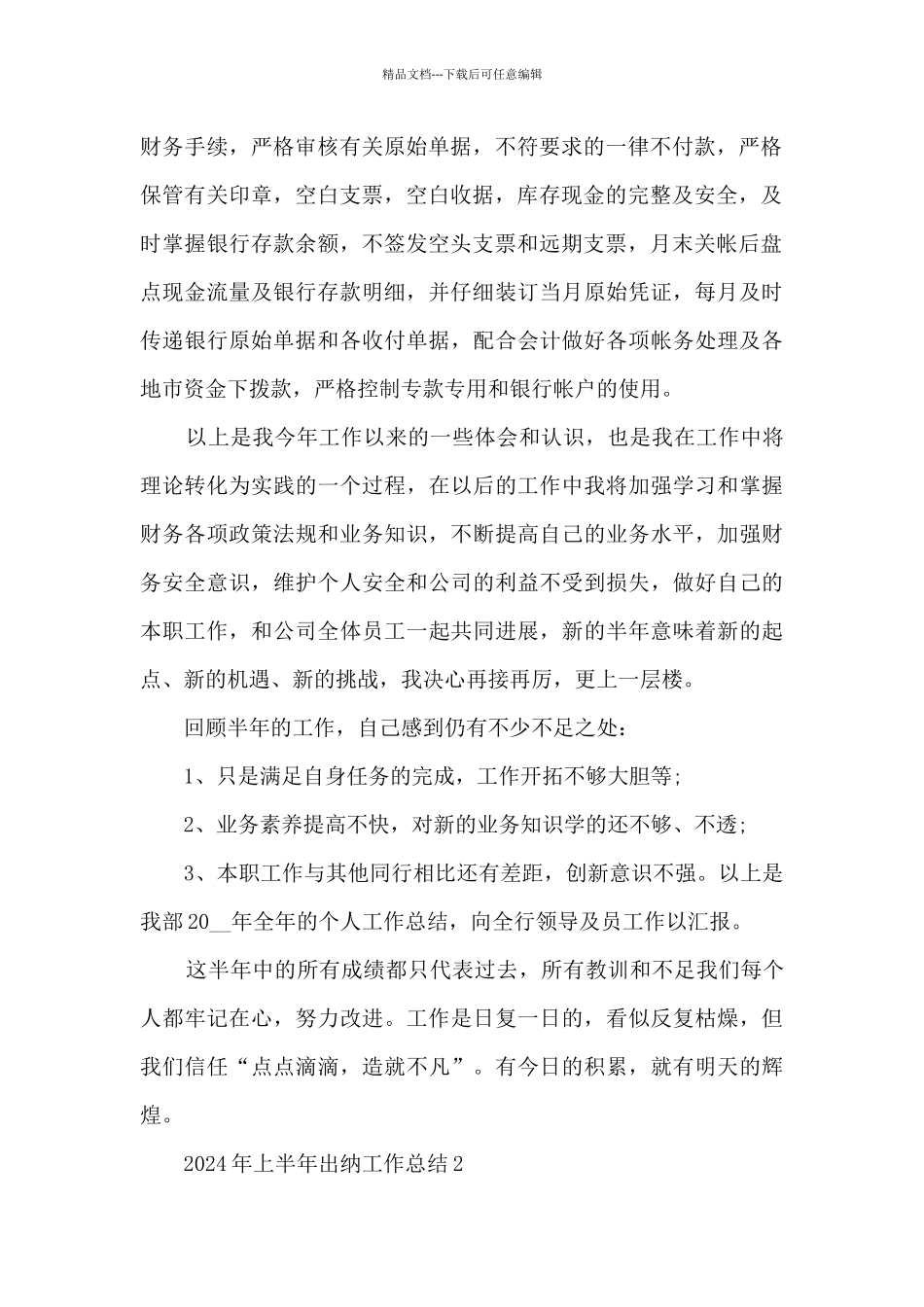 2024年上半年出纳工作总结7篇_第2页