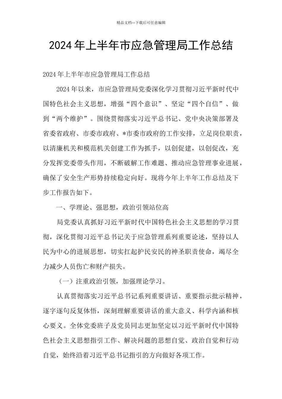 2024年上半年市应急管理局工作总结_第1页