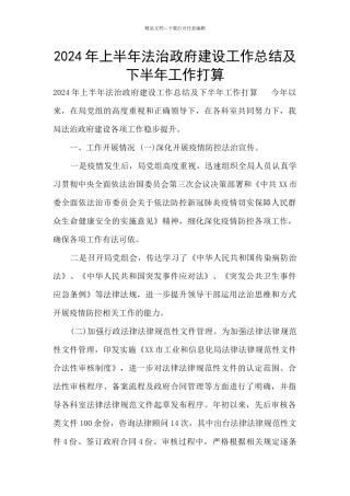 2024年上半年法治政府建设工作总结及下半年工作打算