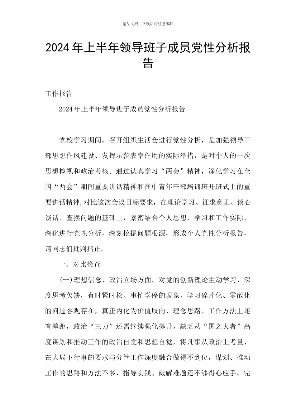 2024年上半年领导班子成员党性分析报告_第1页