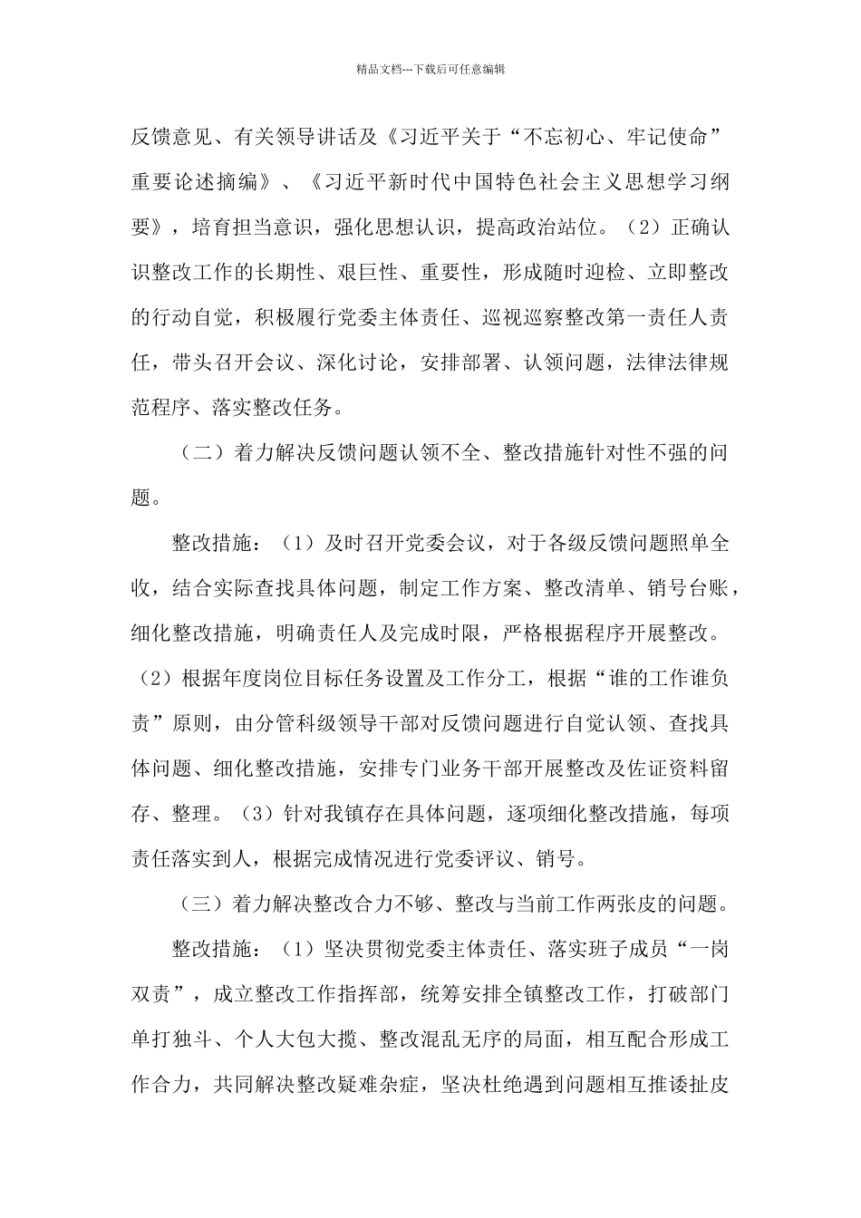 2024年专项整治巡视巡察整改存在问题工作方案_第2页