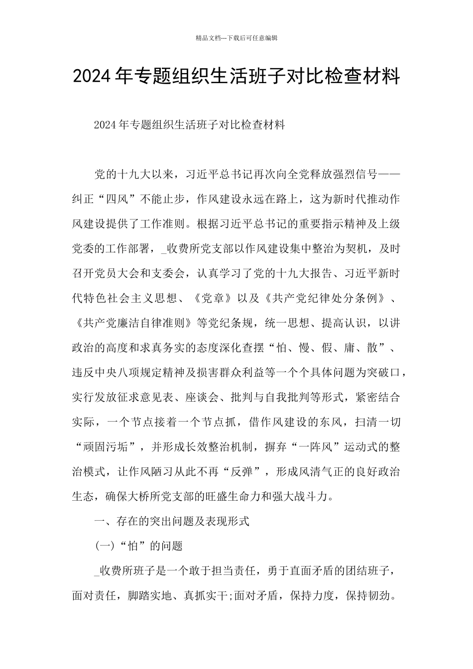 2024年专题组织生活班子对照检查材料_第1页