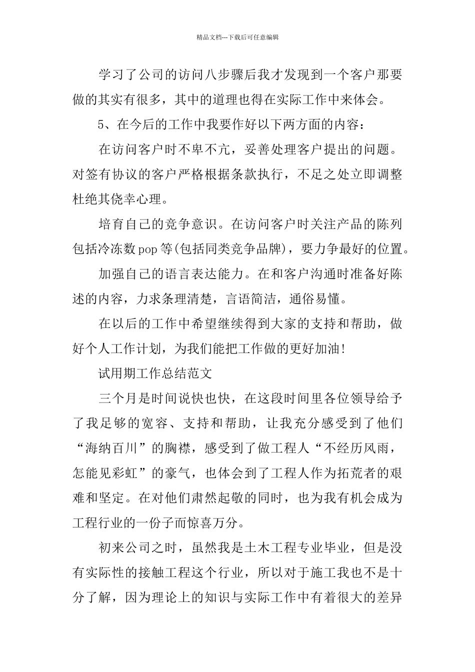 2024年业务员试用期工作总结范文_第2页