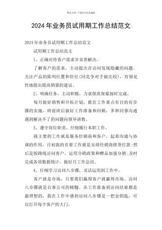 2024年业务员试用期工作总结范文