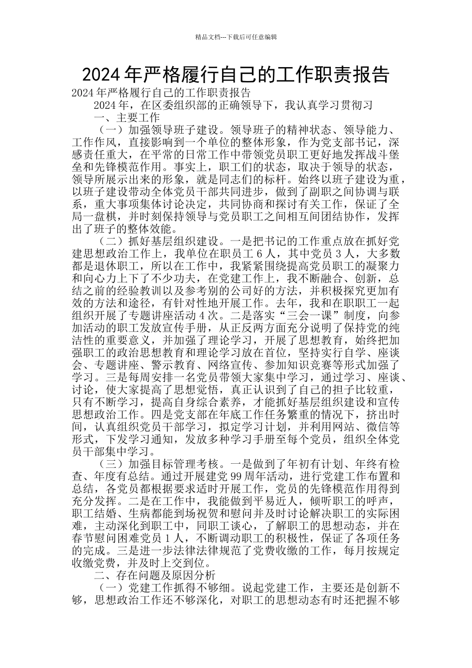 2024年严格履行自己的工作职责报告_第1页