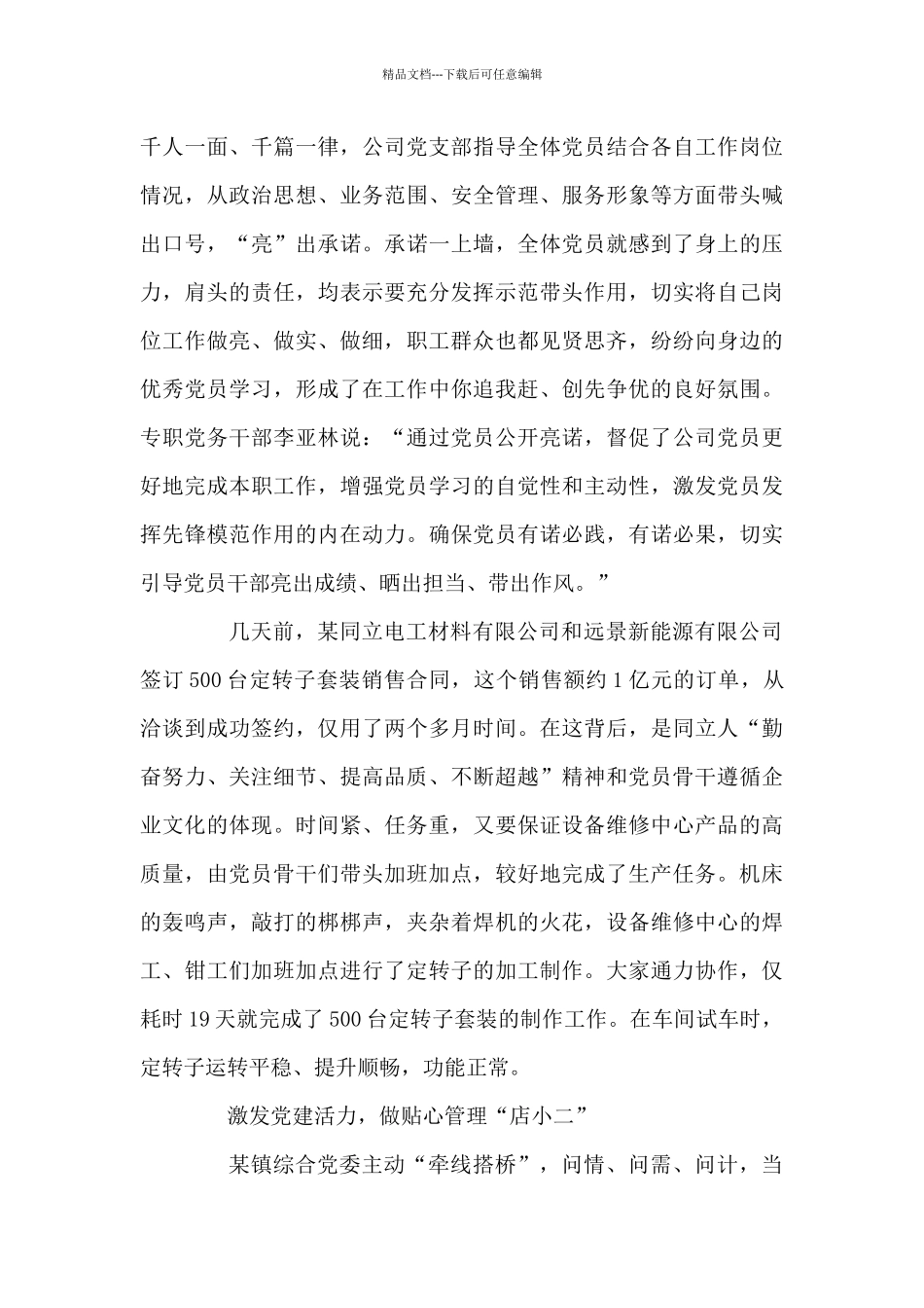 2024年两新党建典型经验汇报材料7篇_第3页