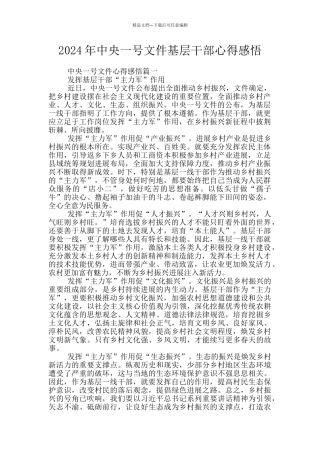 2024年中央一号文件基层干部心得感悟