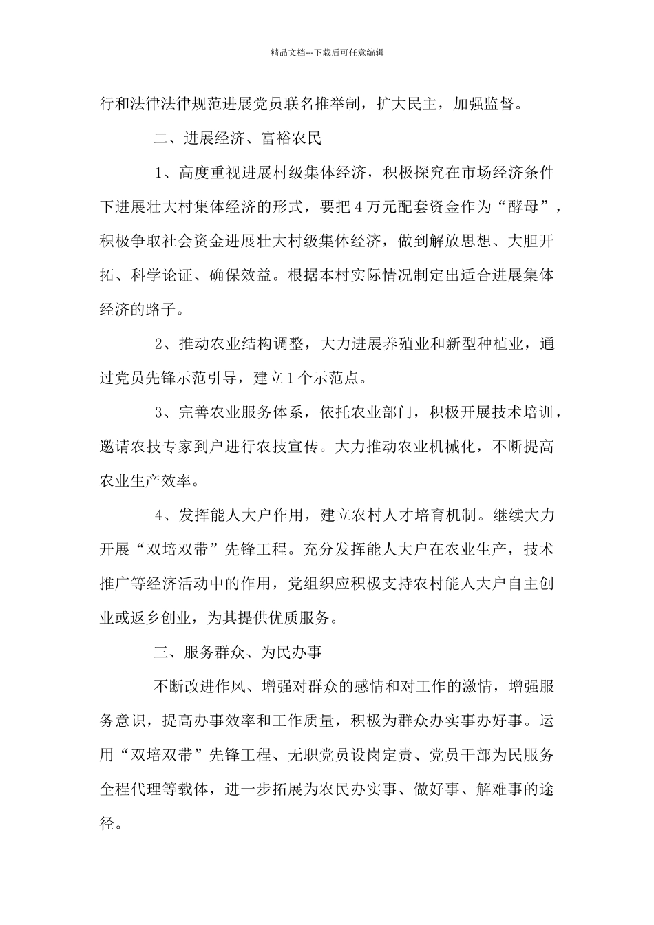 2024年乡村党支部工作计划_第2页