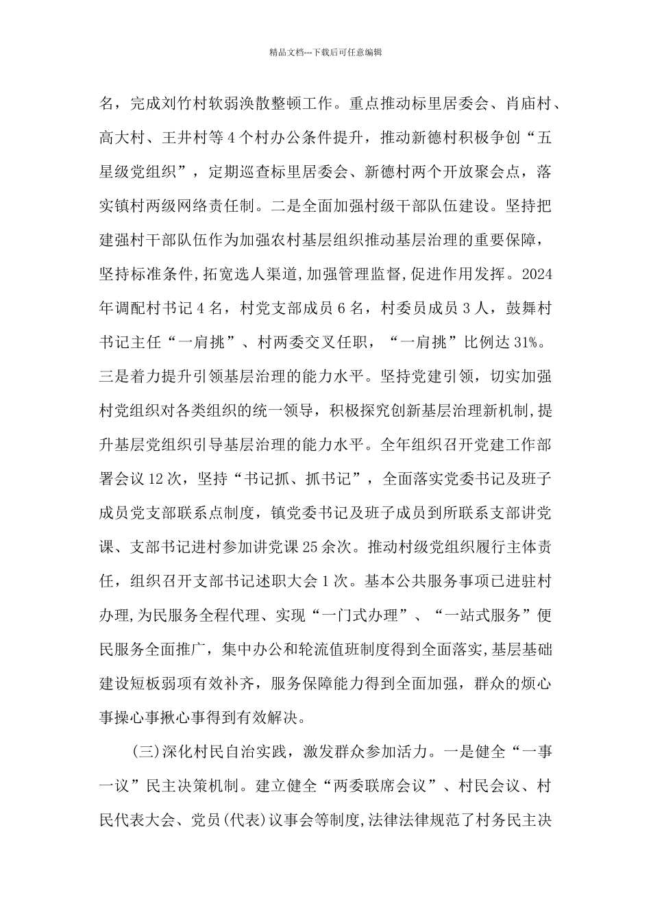 2024年乡镇乡村治理工作总结_第3页