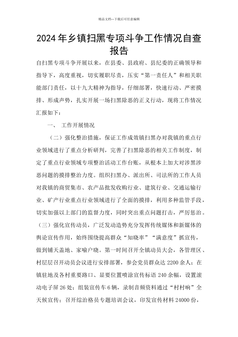 2024年乡镇扫黑专项斗争工作情况自查报告_第1页