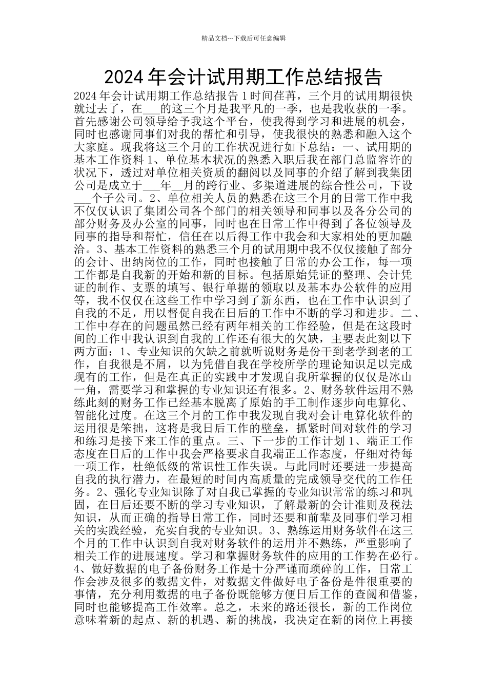 2024年会计试用期工作总结报告_第1页