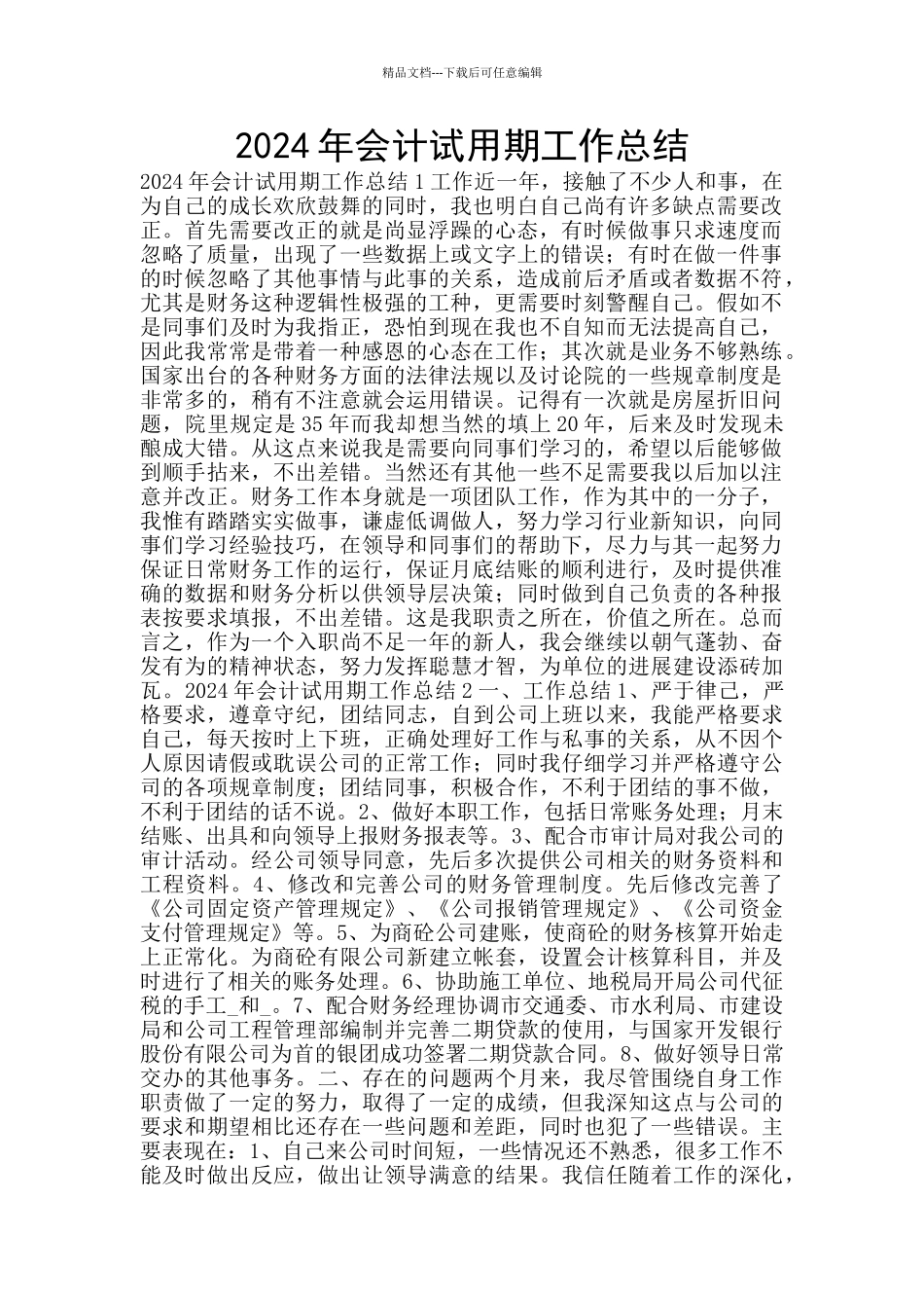 2024年会计试用期工作总结_第1页