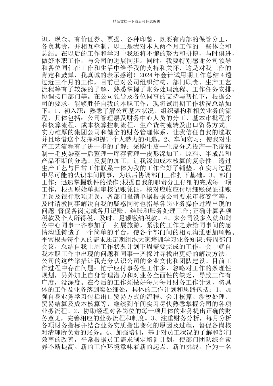 2024年会计试用期工作总结_第3页