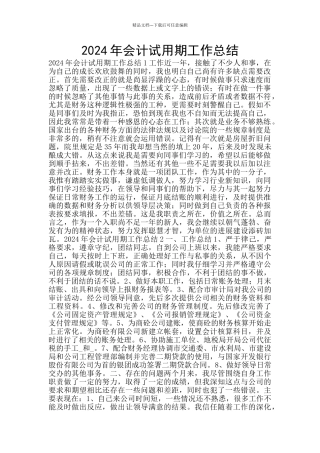 2024年会计试用期工作总结
