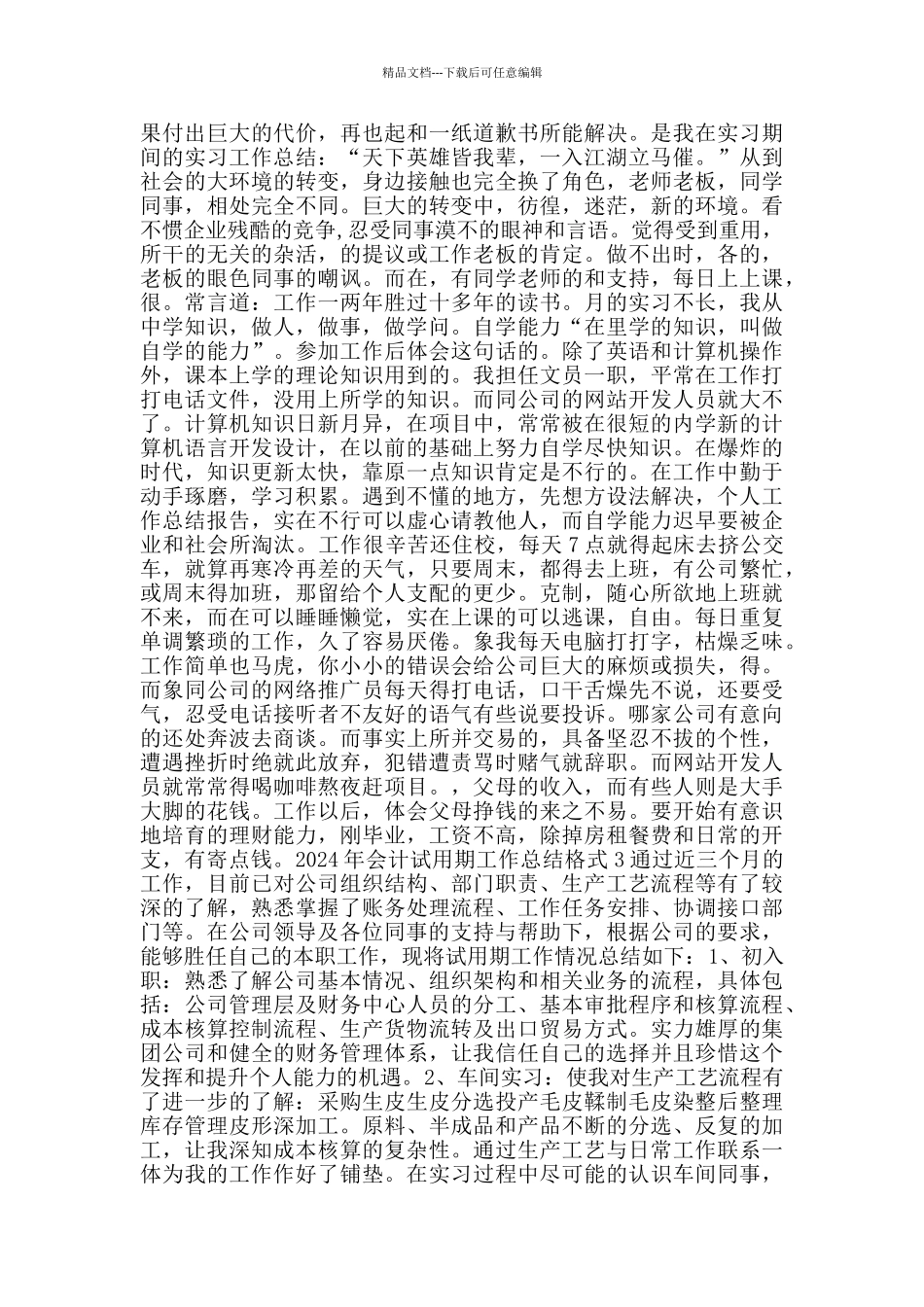 2024年会计试用期工作总结格式_第2页