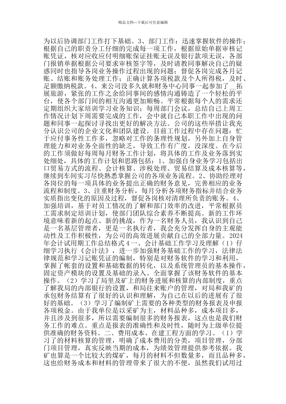2024年会计试用期工作总结格式_第3页