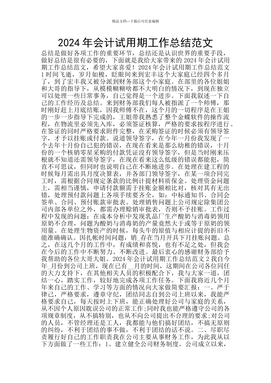 2024年会计试用期工作总结范文_第1页