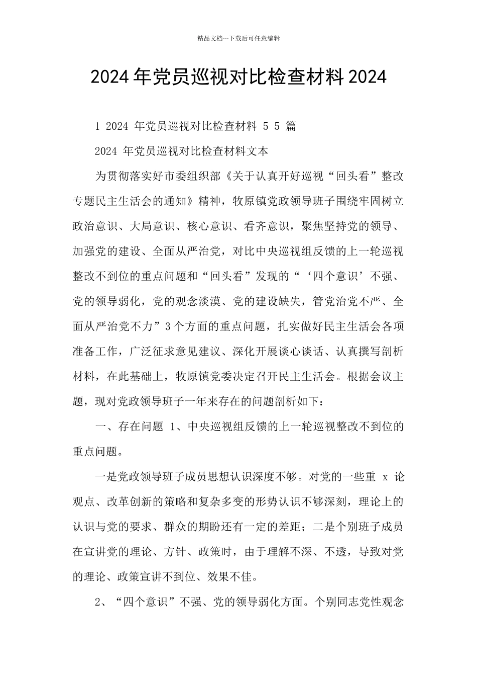 2024年党员巡视对照检查材料2024_第1页