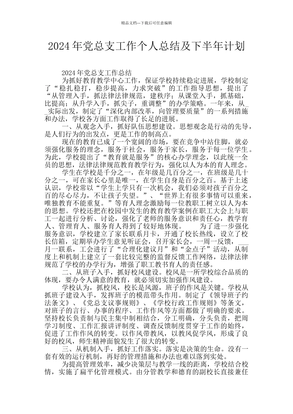 2024年党总支工作个人总结及下半年计划_第1页