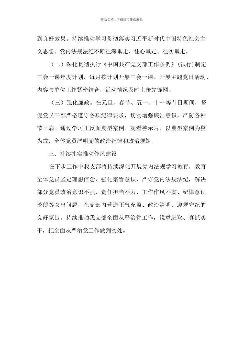 2024年党支部全面从严治党工作总结_第2页