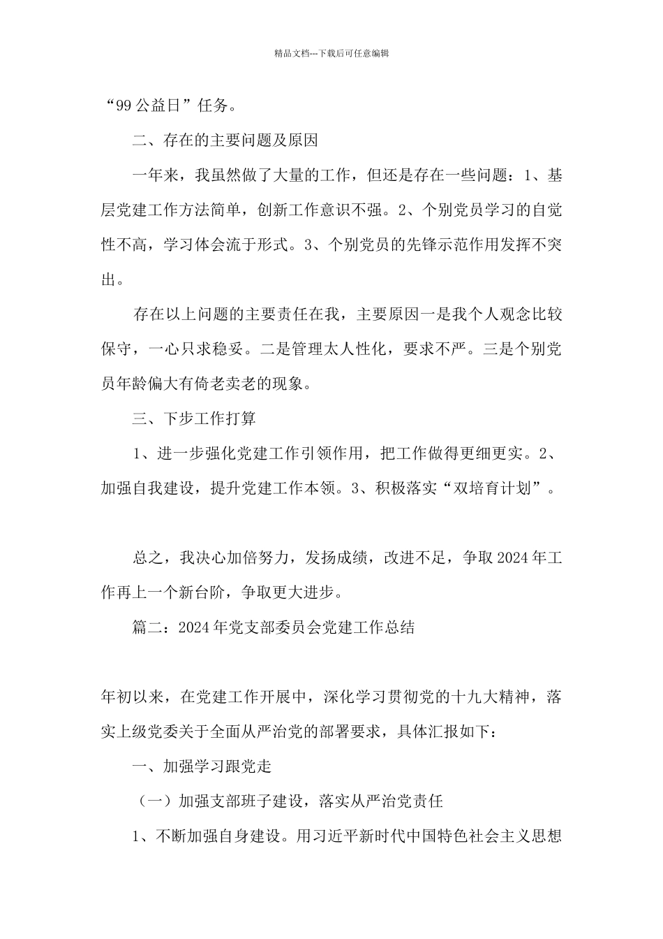 2024年党支部委员会党建工作总结_第3页