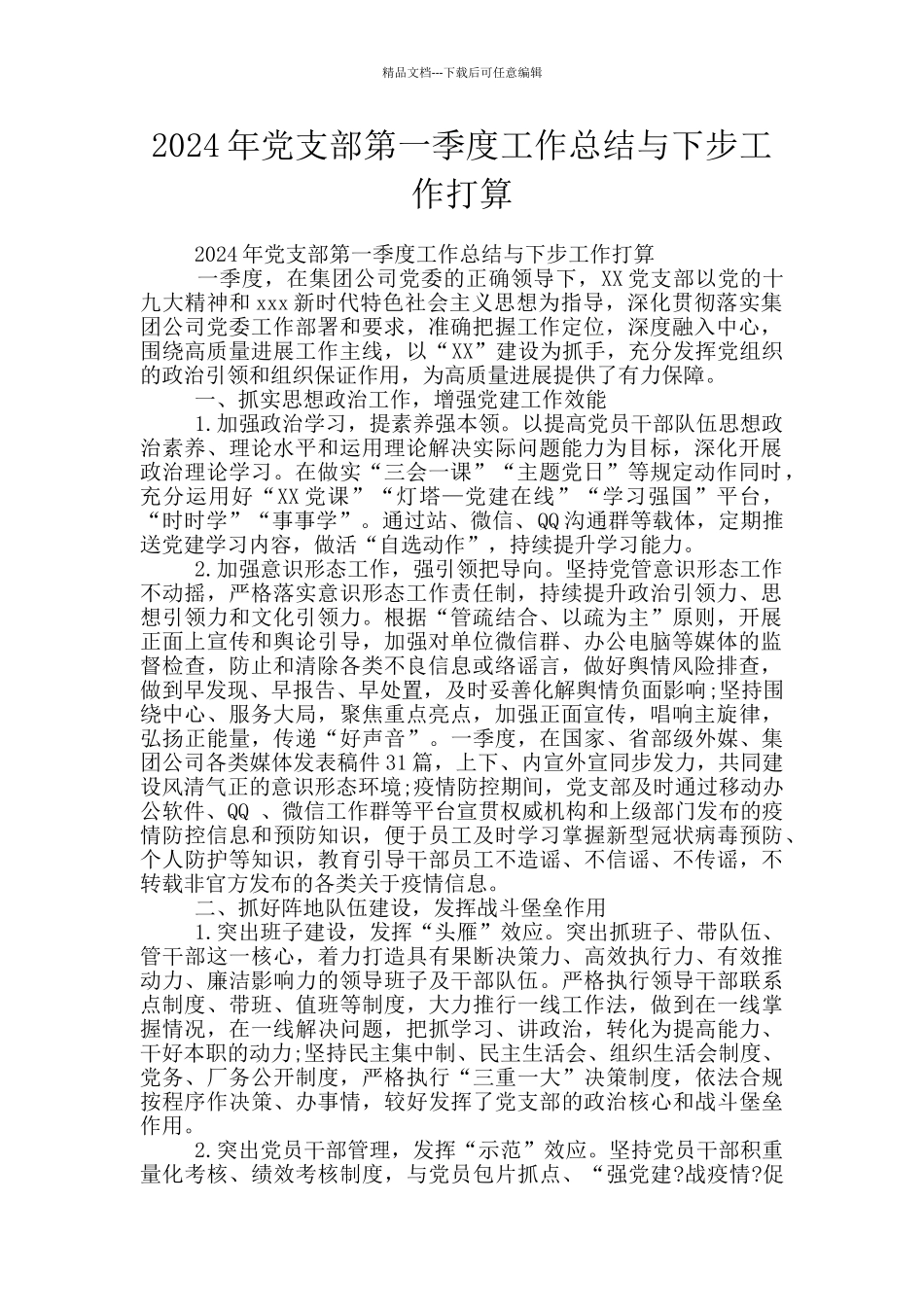 2024年党支部第一季度工作总结与下步工作打算_第1页