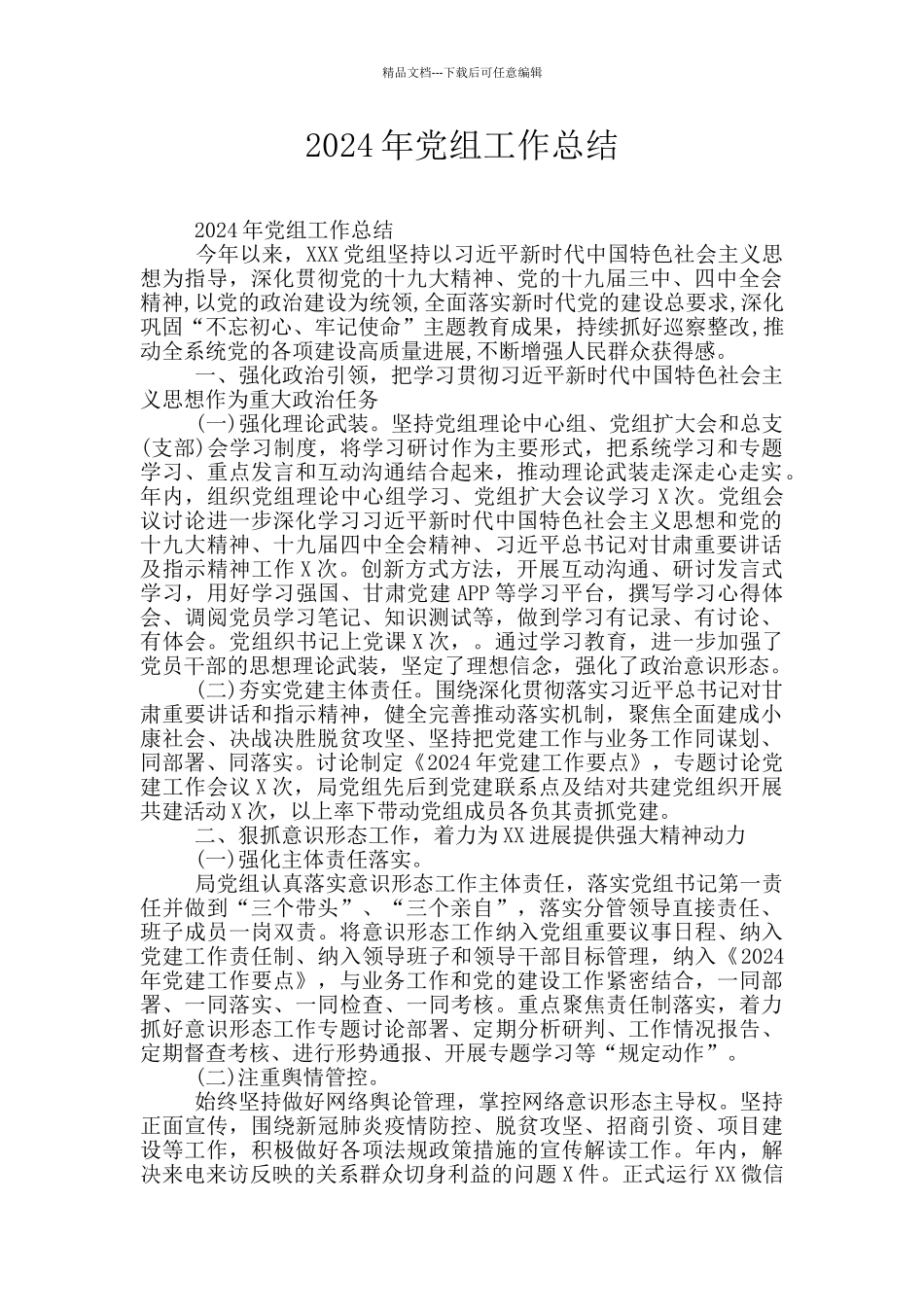 2024年党组工作总结_第1页