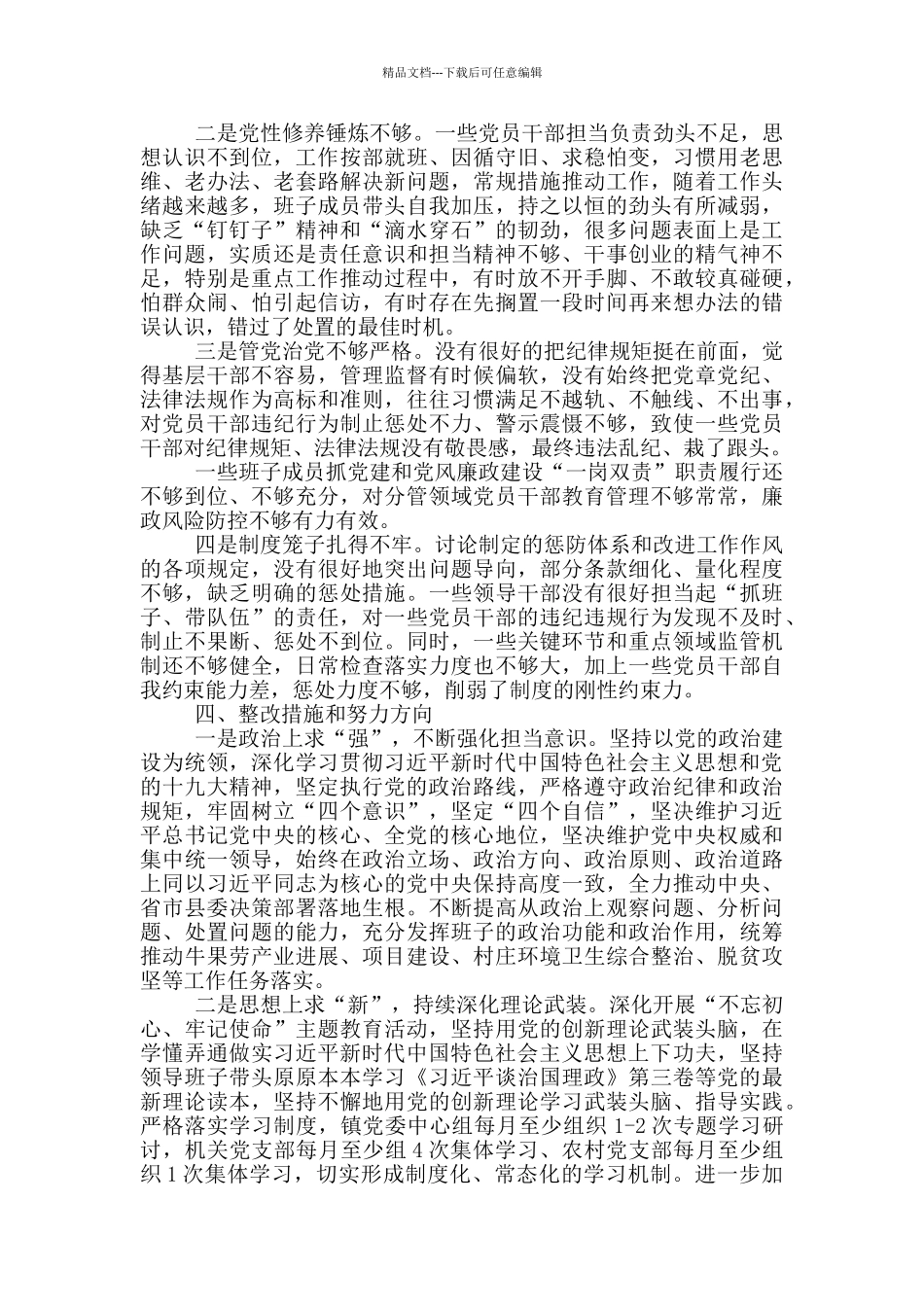 2024年党组班子对照检查材料_第3页