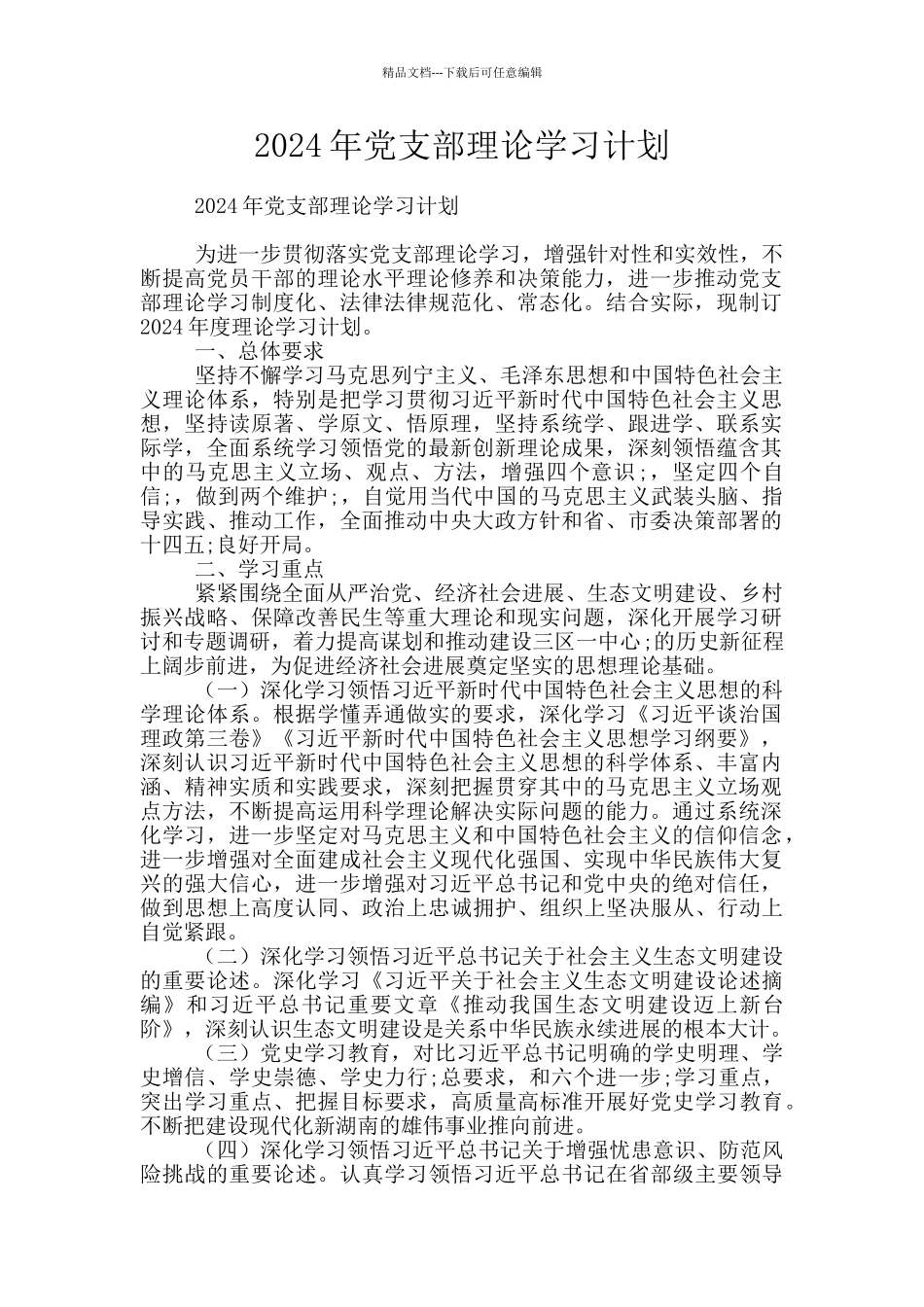 2024年党支部理论学习计划_第1页