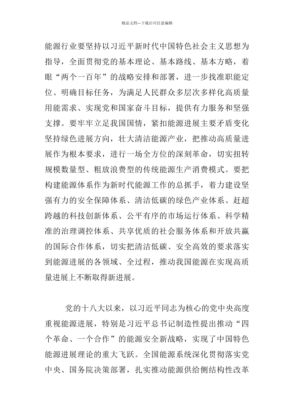 2024年全国能源工作会议讲话材料_第2页