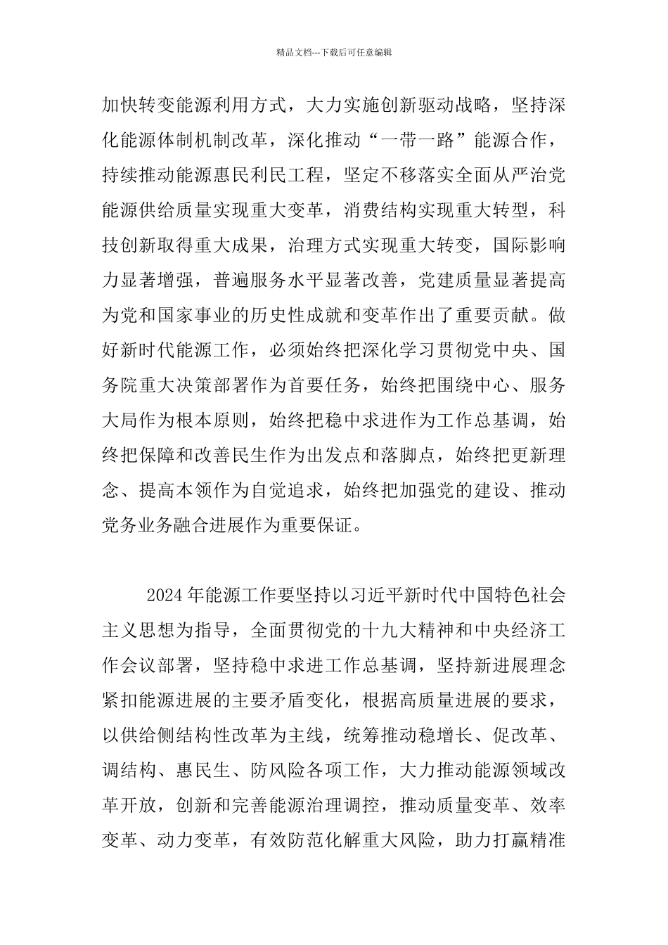 2024年全国能源工作会议讲话材料_第3页