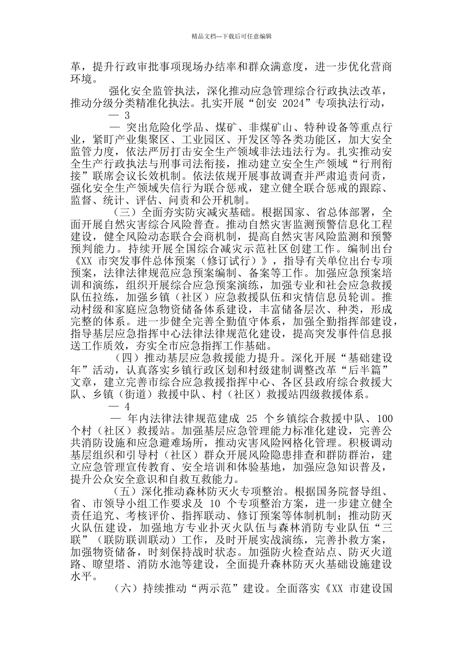 2024年全市应急管理工作要点_第2页