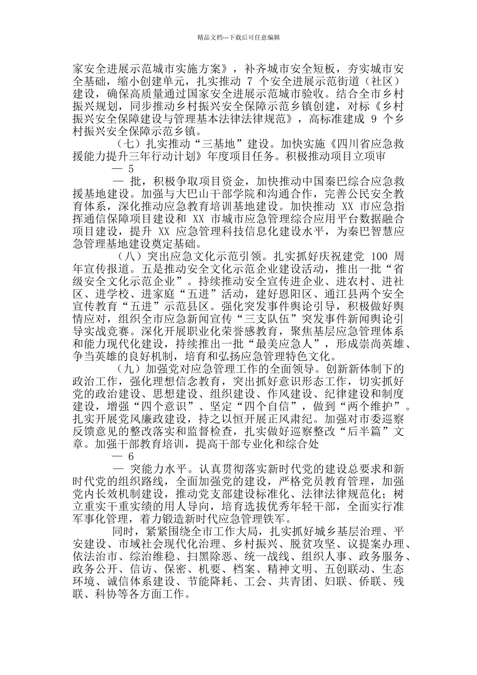 2024年全市应急管理工作要点_第3页