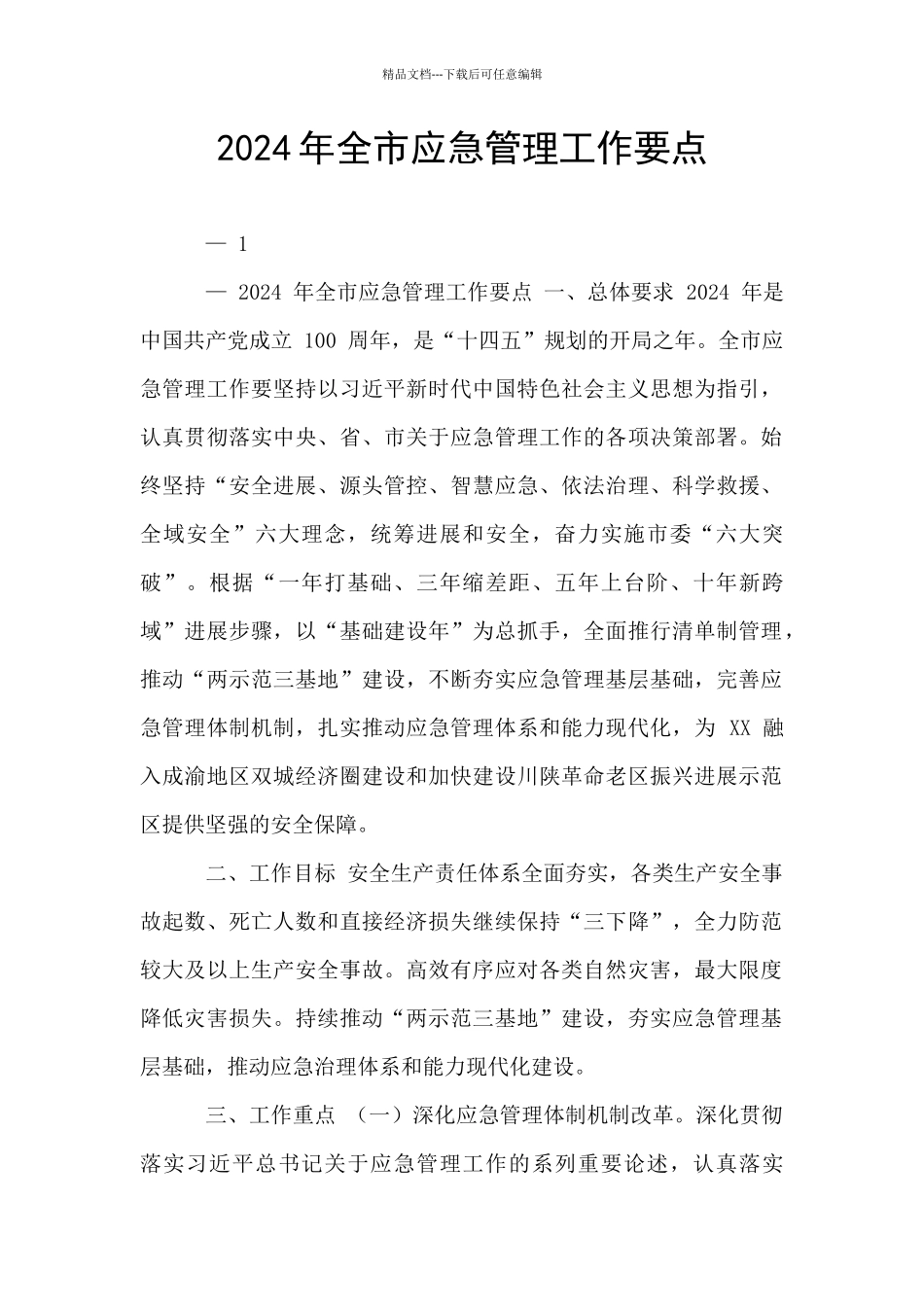 2024年全市应急管理工作要点_第1页