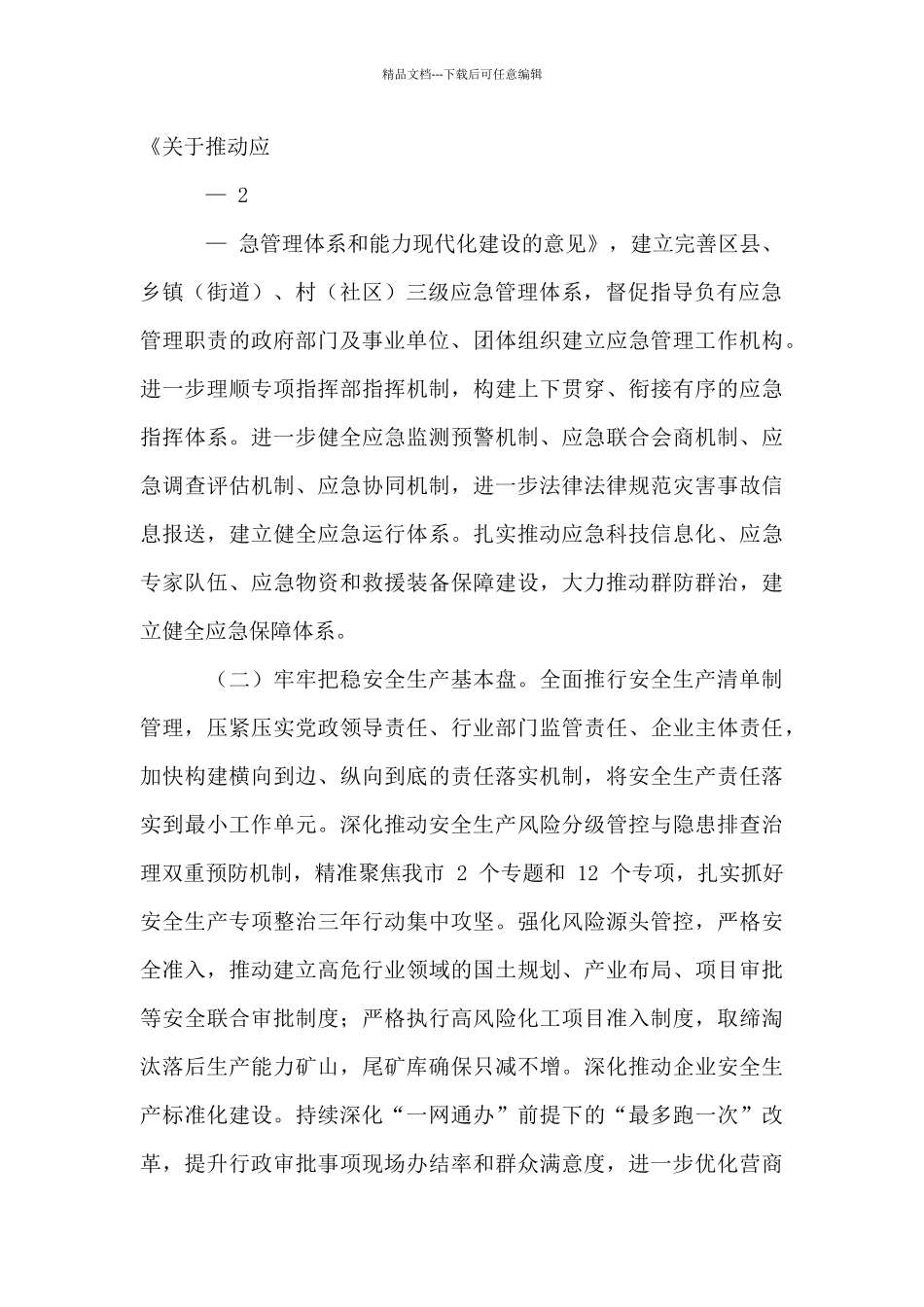 2024年全市应急管理工作要点_第2页