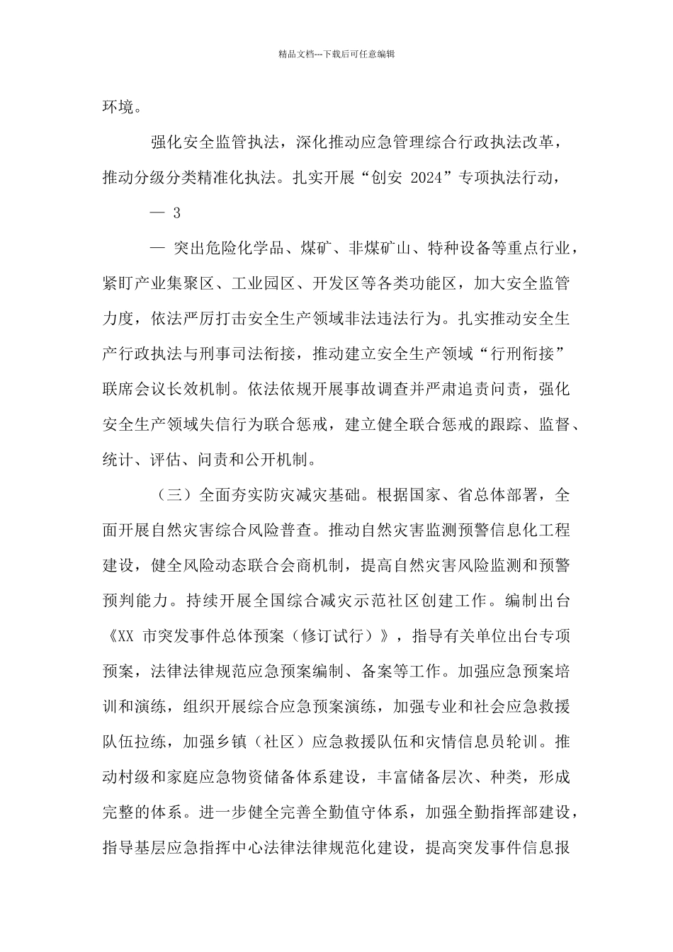 2024年全市应急管理工作要点_第3页