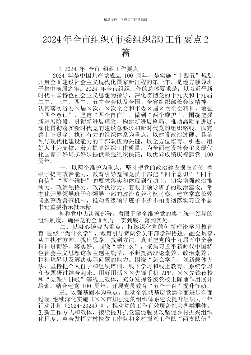 2024年全市组织工作要点2篇_第1页
