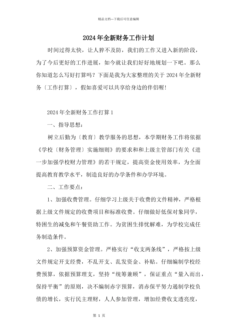2024年全新财务工作计划_第1页