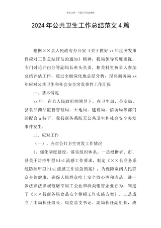 2024年公共卫生工作总结范文4篇
