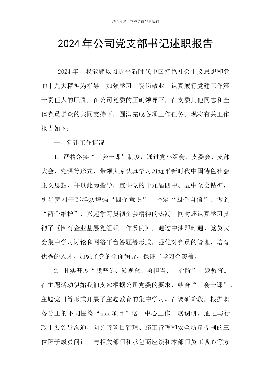 2024年公司党支部书记述职报告_第1页