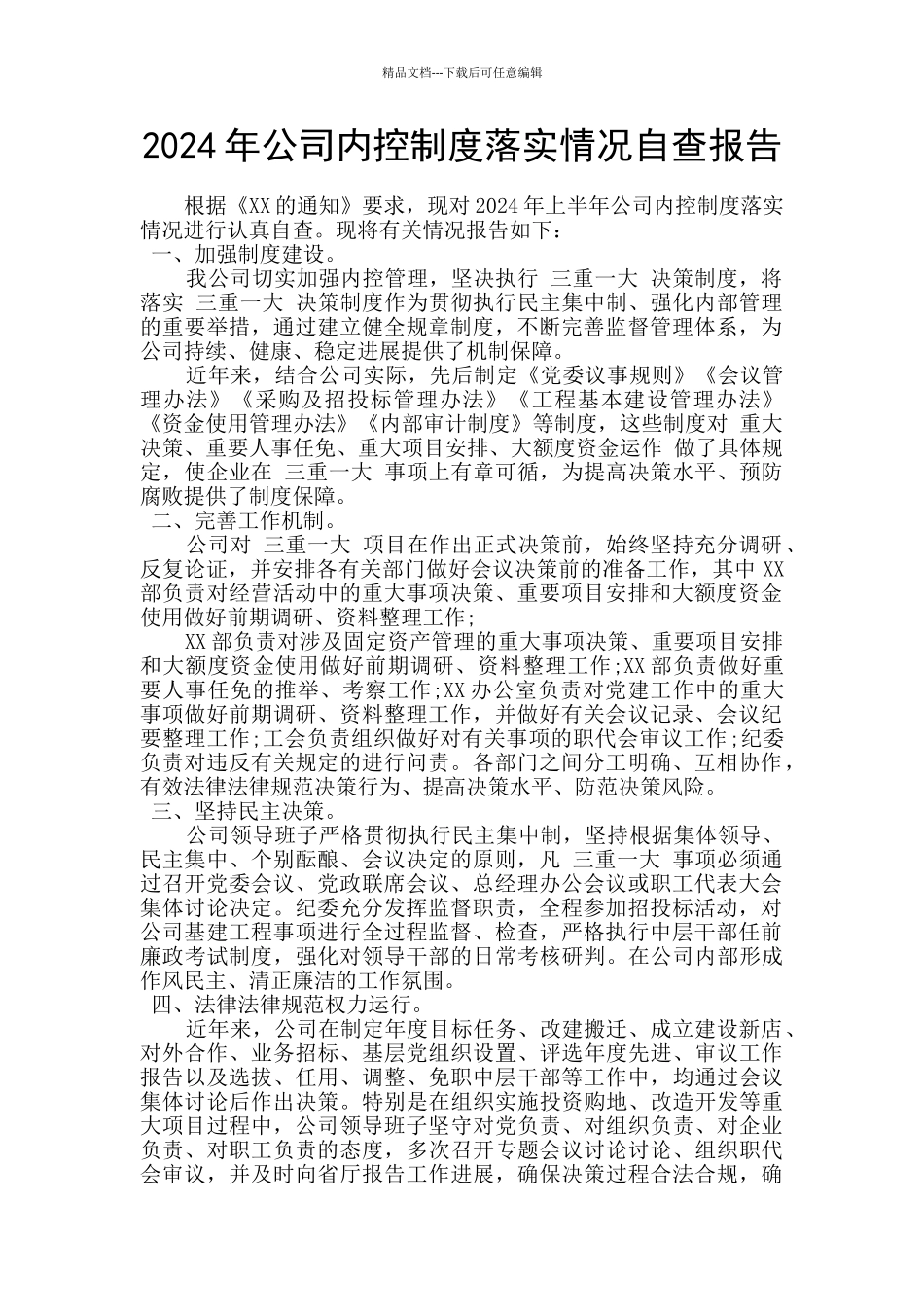 2024年公司内控制度落实情况自查报告_第1页