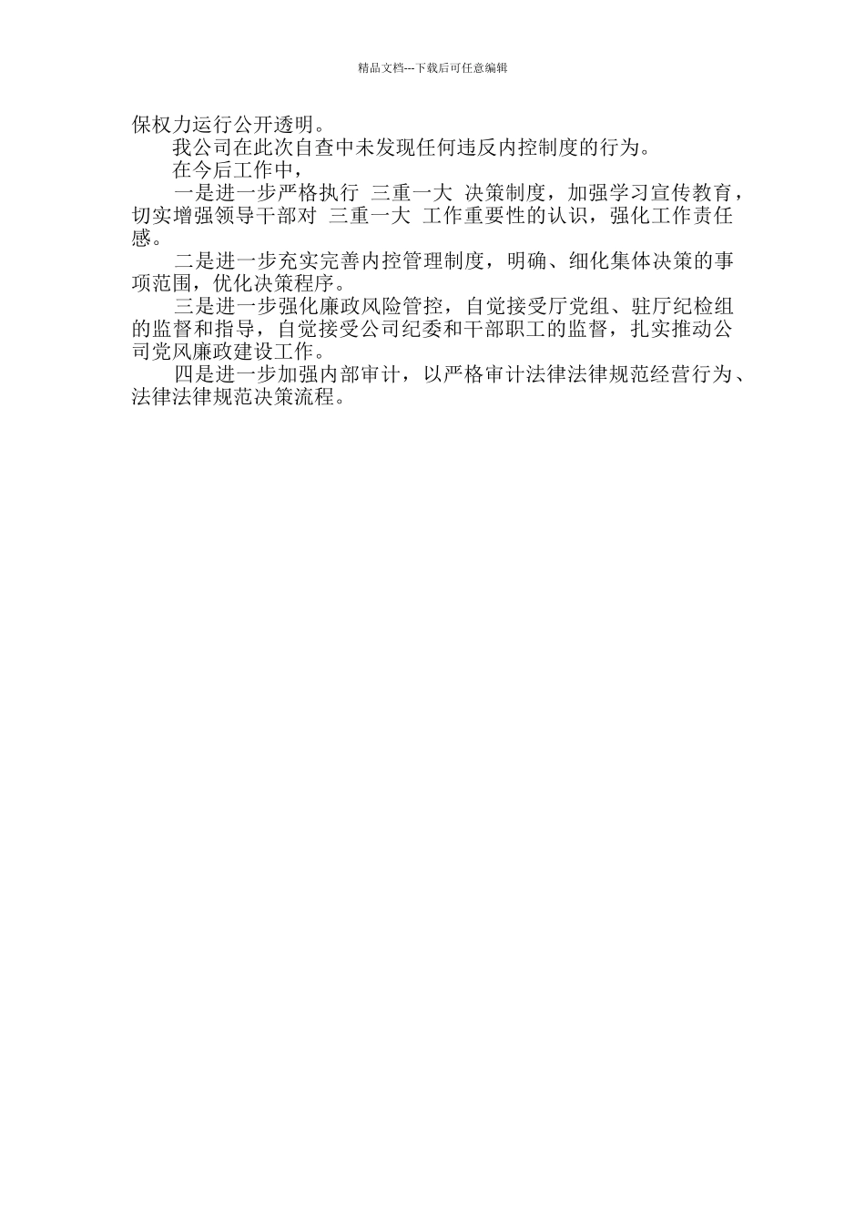 2024年公司内控制度落实情况自查报告_第2页