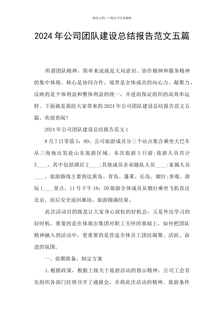 2024年公司团队建设总结报告范文五篇_第1页