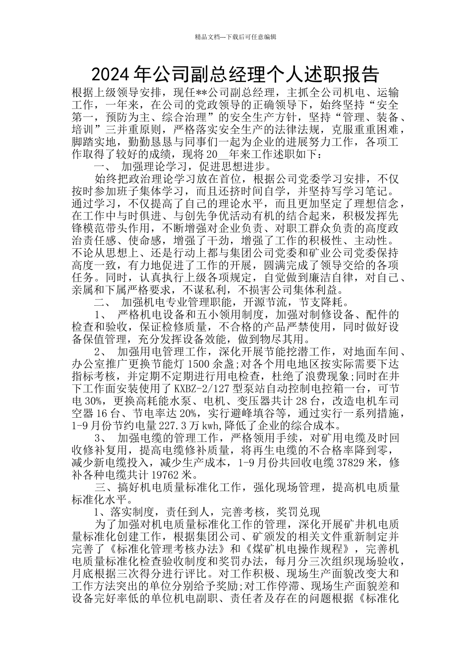 2024年公司副总经理个人述职报告_第1页