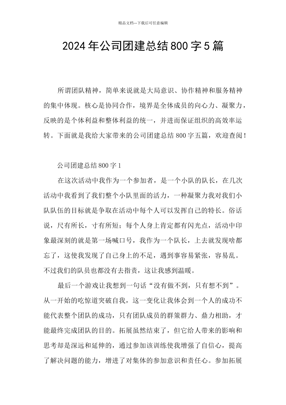 2024年公司团建总结800字5篇_第1页